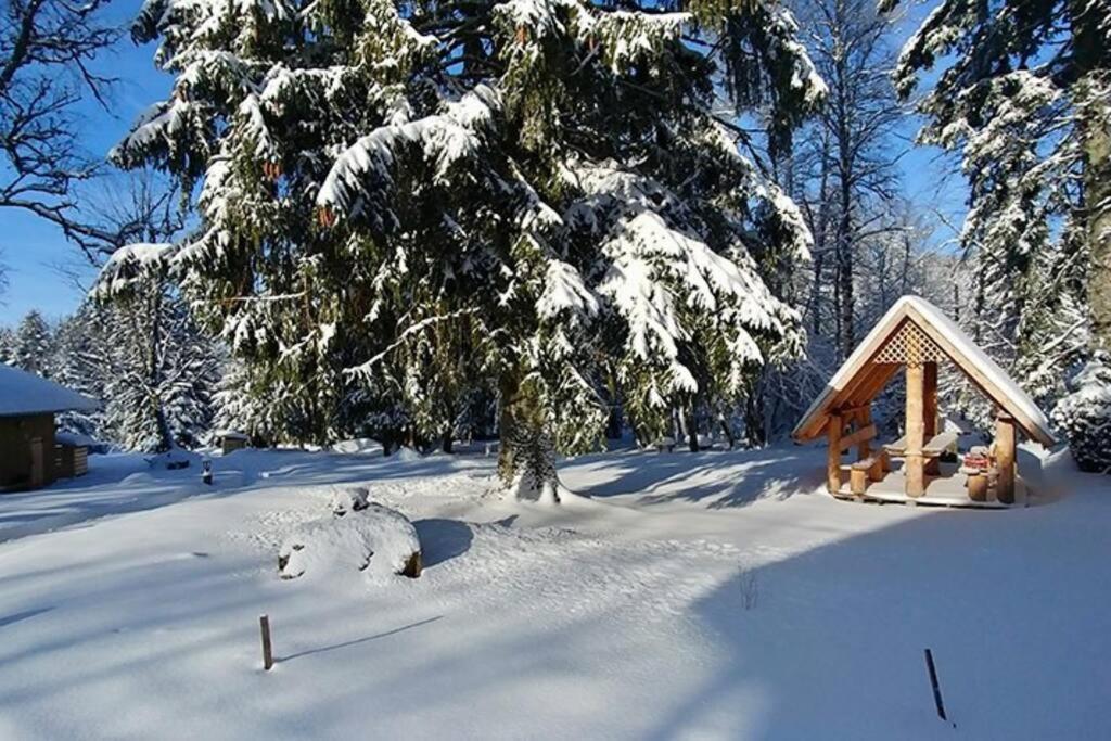 Le Petit Loup, Appartement Neuf Avec Jardin Gerbépal Dış mekan fotoğraf
